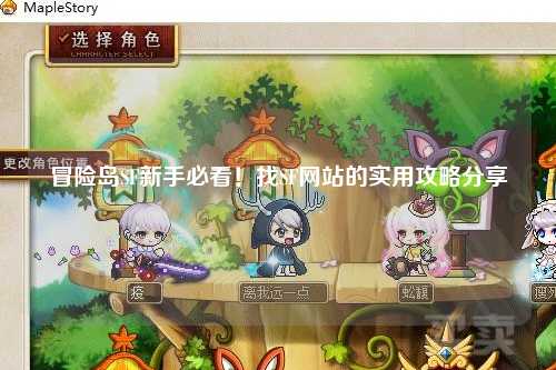 冒险岛SF新手必看！找SF网站的实用攻略分享✨